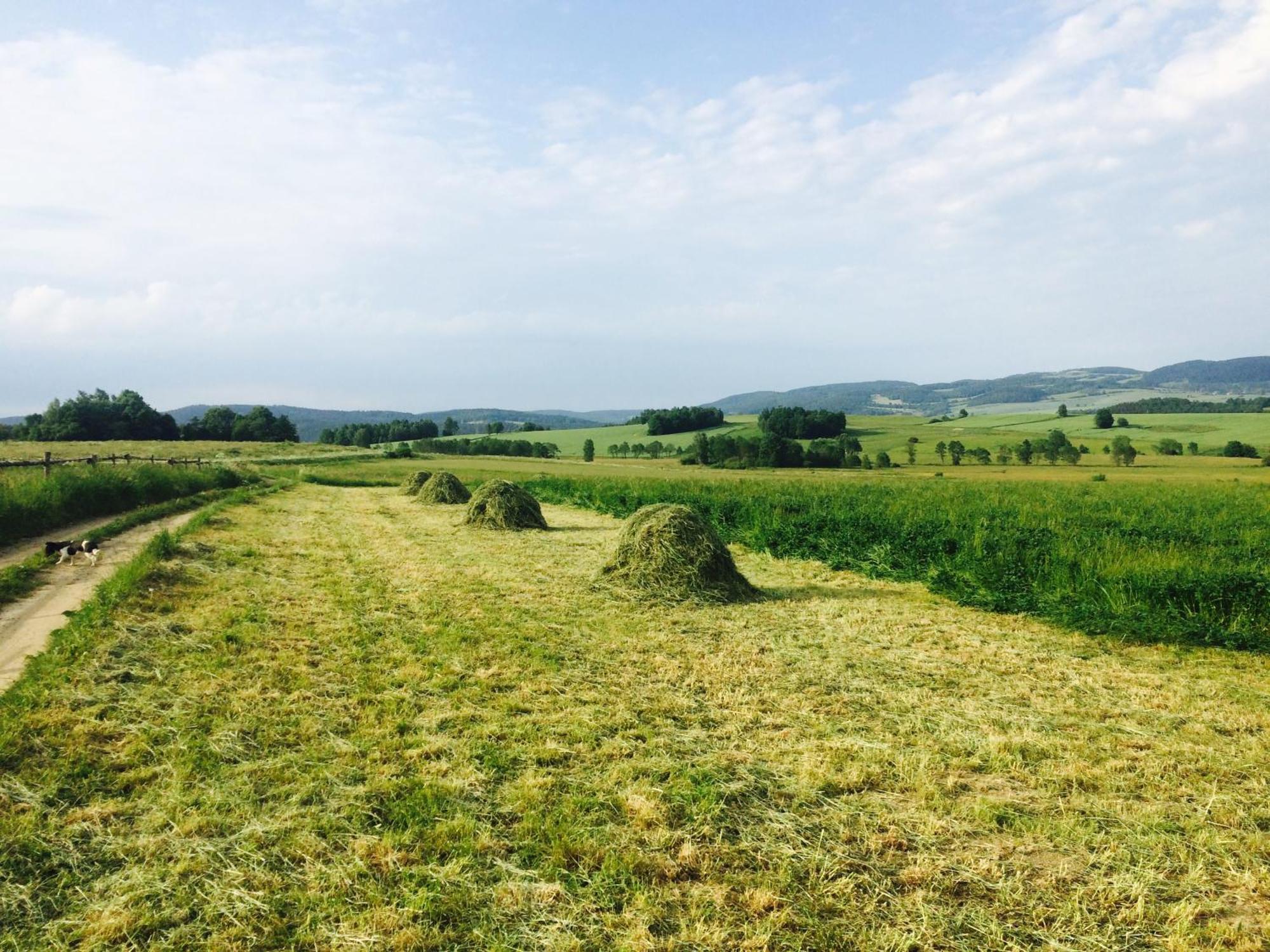 Siedlisko Wierchy Wiesciszowice ภายนอก รูปภาพ